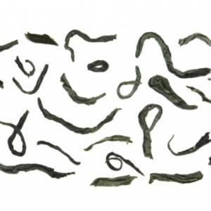 Πράσινος Άνεμος