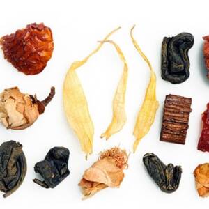 Βυζάντιο bio