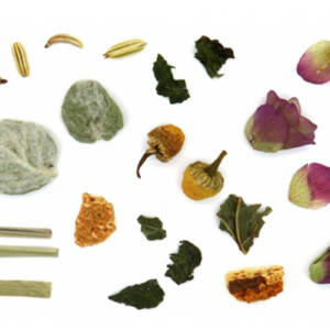 Λευκά όρη bio